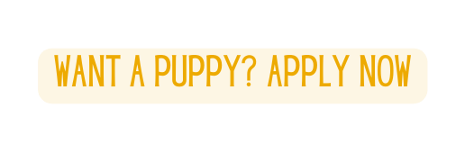 Want a puppy Apply now